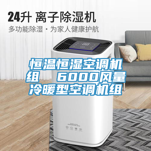 恒溫恒濕空調(diào)機組 6000風量冷暖型空調(diào)機組