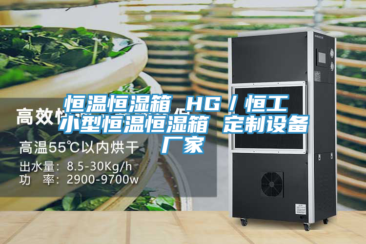 恒溫恒濕箱 HG/恒工 小型恒溫恒濕箱 定制設備廠家