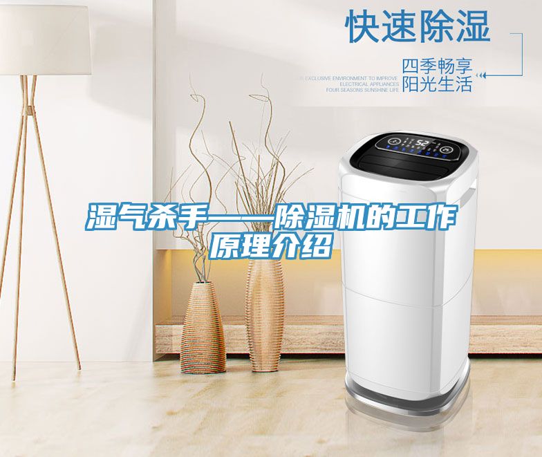 濕氣殺手——除濕機的工作原理介紹