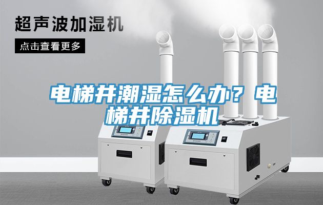 電梯井潮濕怎么辦？電梯井除濕機(jī)