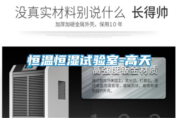 恒溫恒濕試驗室-高天
