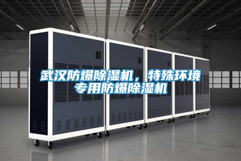 武漢防爆除濕機,特殊環境專用防爆除濕機