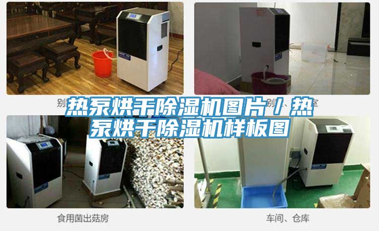 熱泵烘干除濕機圖片/熱泵烘干除濕機樣板圖