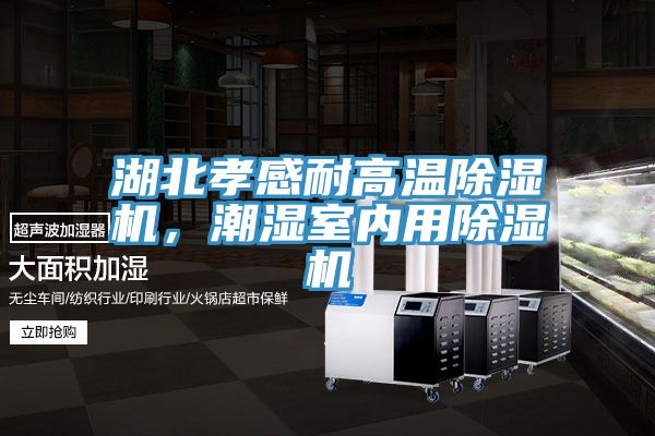 湖北孝感耐高溫除濕機,潮濕室內用除濕機