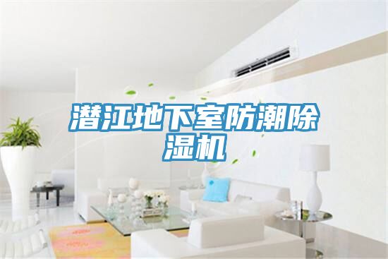 潛江地下室防潮除濕機