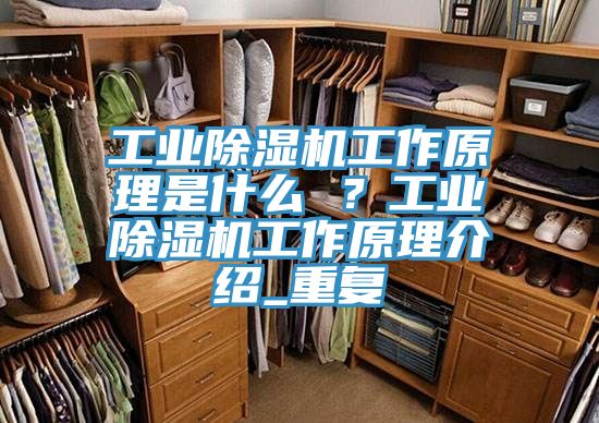 工業(yè)除濕機(jī)工作原理是什么 ?工業(yè)除濕機(jī)工作原理介紹_重復(fù)