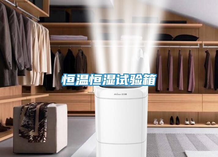恒溫恒濕試驗箱
