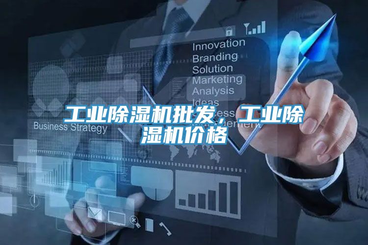 工業(yè)除濕機(jī)批發(fā),工業(yè)除濕機(jī)價(jià)格
