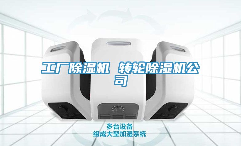 工廠除濕機 轉輪除濕機公司