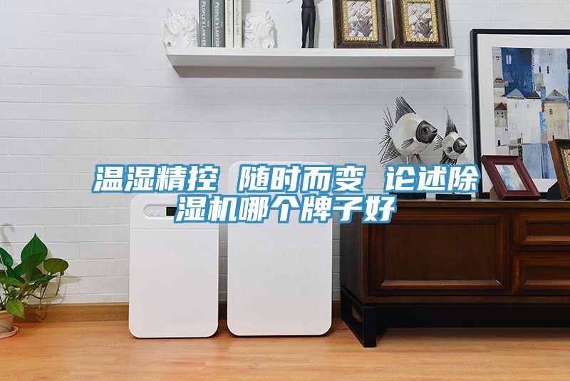 溫濕精控 隨時而變 論述除濕機哪個牌子好