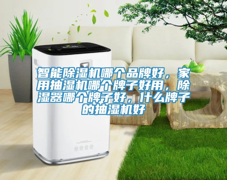 智能除濕機哪個品牌好，家用抽濕機哪個牌子好用，除濕器哪個牌子好，什么牌子的抽濕機好