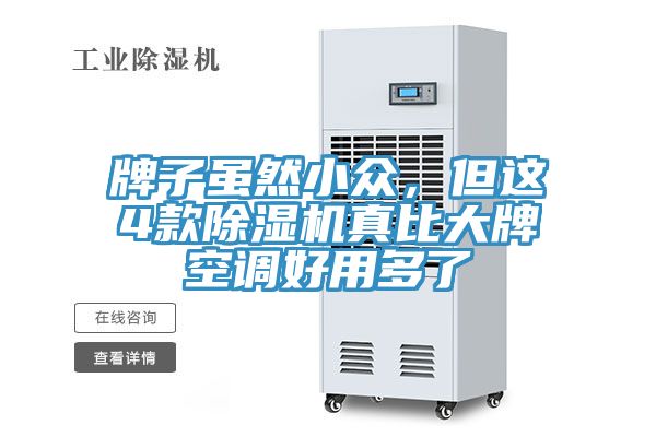 牌子雖然小眾，但這4款除濕機真比大牌空調好用多了