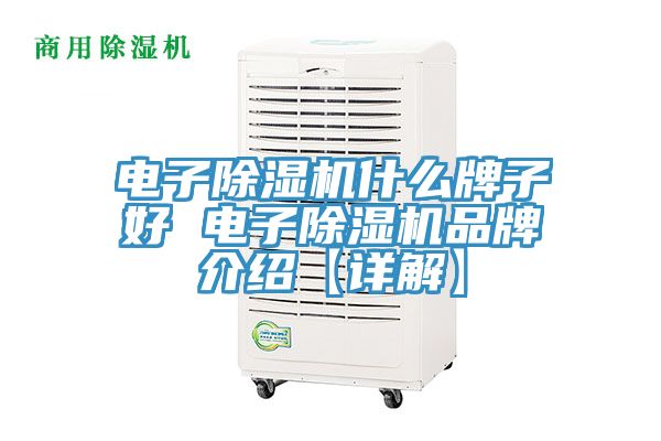 電子除濕機(jī)什么牌子好 電子除濕機(jī)品牌介紹【詳解】