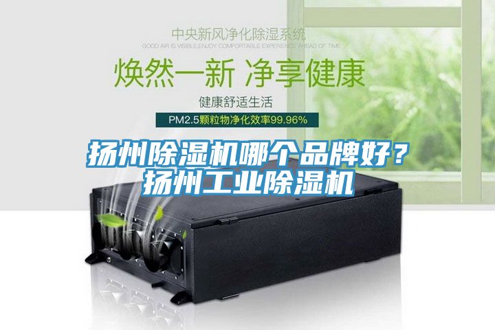 揚州除濕機哪個品牌好?揚州工業除濕機