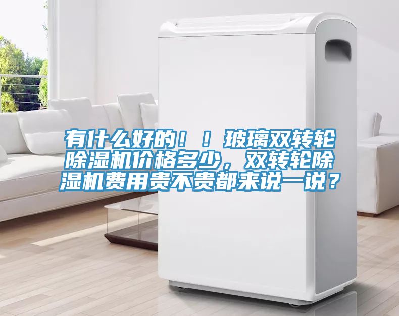 有什么好的??！玻璃雙轉輪除濕機價格多少，雙轉輪除濕機費用貴不貴都來說一說？