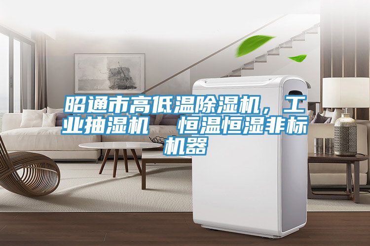 昭通市高低溫除濕機，工業抽濕機  恒溫恒濕非標機器