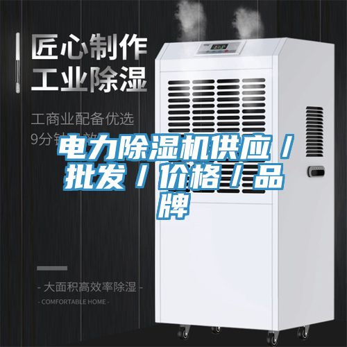 電力除濕機供應(yīng)／批發(fā)／價格／品牌