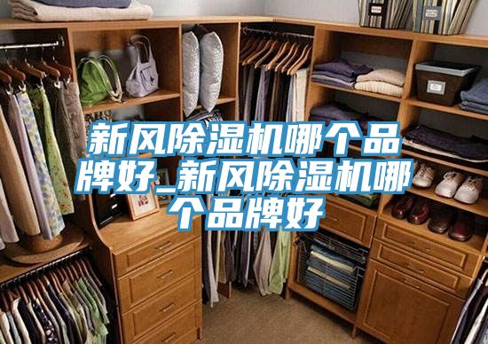 新風除濕機哪個品牌好_新風除濕機哪個品牌好