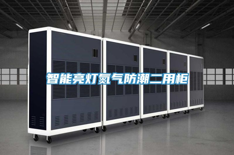 智能亮燈氮氣防潮二用柜