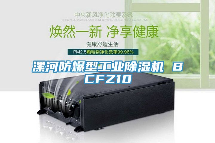 漯河防爆型工業除濕機 BCFZ10