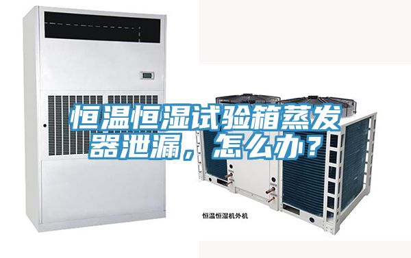 恒溫恒濕試驗箱蒸發器泄漏,怎么辦?