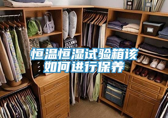 恒溫恒濕試驗箱該如何進行保養