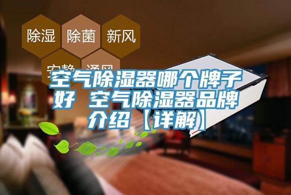 空氣除濕器哪個牌子好 空氣除濕器品牌介紹【詳解】