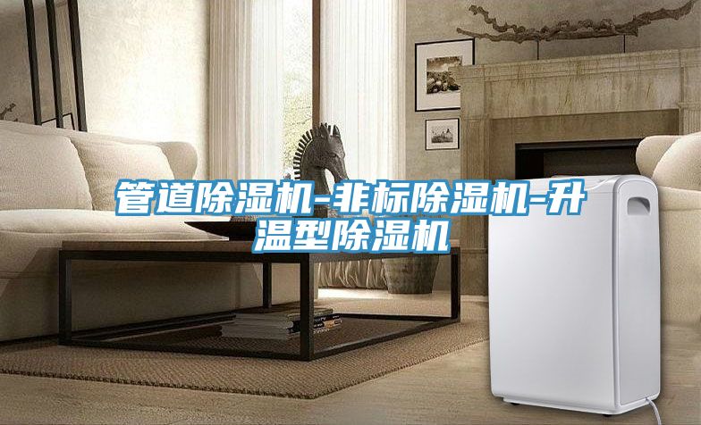 管道除濕機-非標除濕機-升溫型除濕機