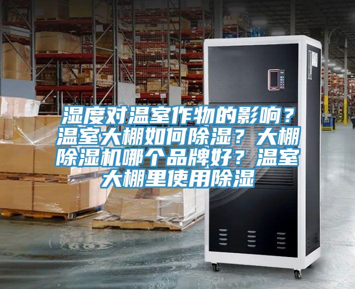 濕度對溫室作物的影響?溫室大棚如何除濕?大棚除濕機哪個品牌好?溫室大棚里使用除濕