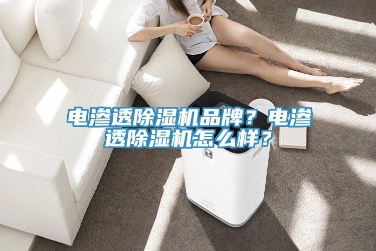 電滲透除濕機品牌?電滲透除濕機怎么樣?