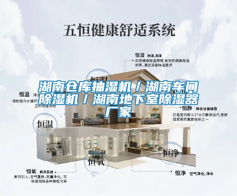 湖南倉庫抽濕機(jī)/湖南車間除濕機(jī)/湖南地下室除濕器廠家