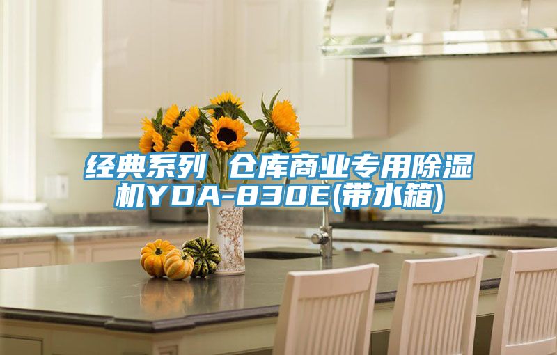 經(jīng)典系列 倉(cāng)庫(kù)商業(yè)專(zhuān)用除濕機(jī)YDA-830E(帶水箱)