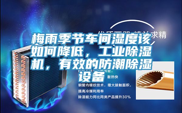 梅雨季節(jié)車間濕度該如何降低,工業(yè)除濕機,有效的防潮除濕設(shè)備