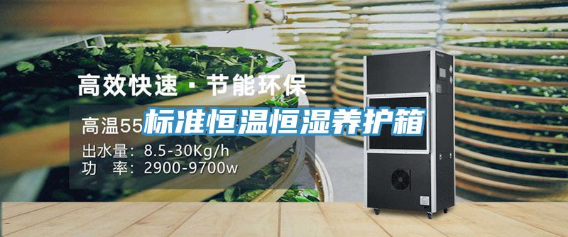 標準恒溫恒濕養護箱