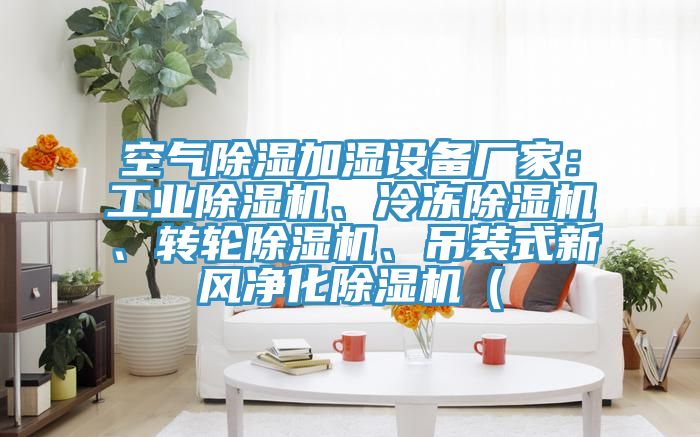 空氣除濕加濕設備廠家:工業除濕機、冷凍除濕機、轉輪除濕機、吊裝式新風凈化除濕機(