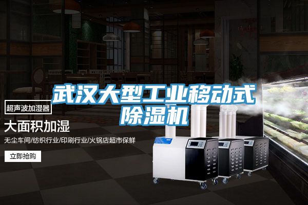 武漢大型工業(yè)移動式除濕機