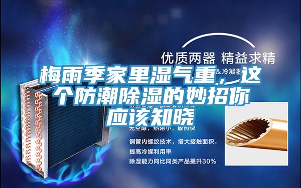 梅雨季家里濕氣重,這個防潮除濕的妙招你應該知曉