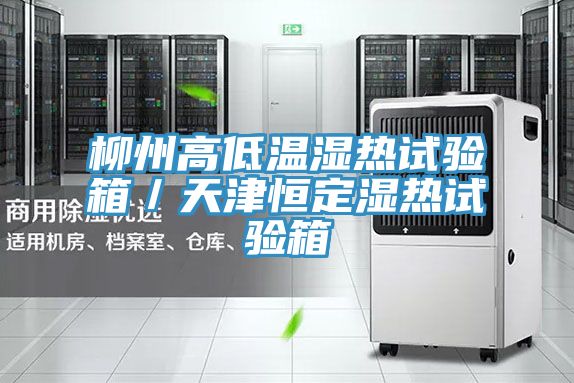 柳州高低溫濕熱試驗箱/天津恒定濕熱試驗箱