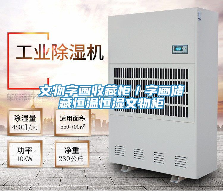 文物字畫收藏柜/字畫儲藏恒溫恒濕文物柜