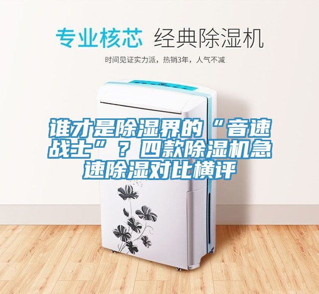 誰才是除濕界的“音速戰(zhàn)士”？四款除濕機急速除濕對比橫評