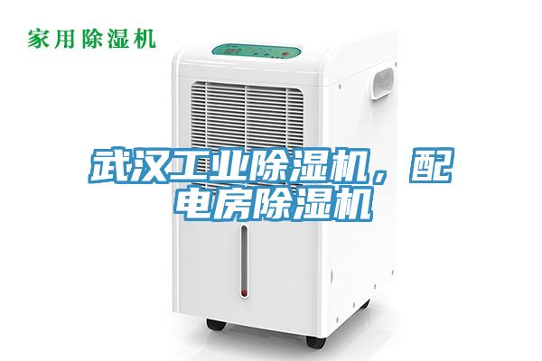 武漢工業除濕機,配電房除濕機