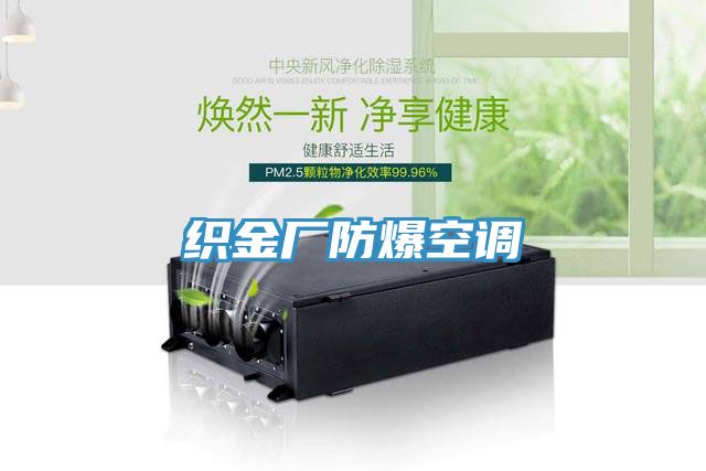 織金廠(chǎng)防爆空調(diào)