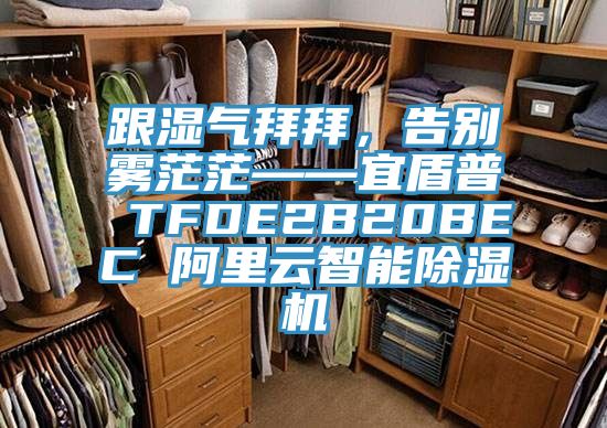 跟濕氣拜拜，告別霧茫茫——宜盾普 TFDE2B20BEC 阿里云智能除濕機(jī)