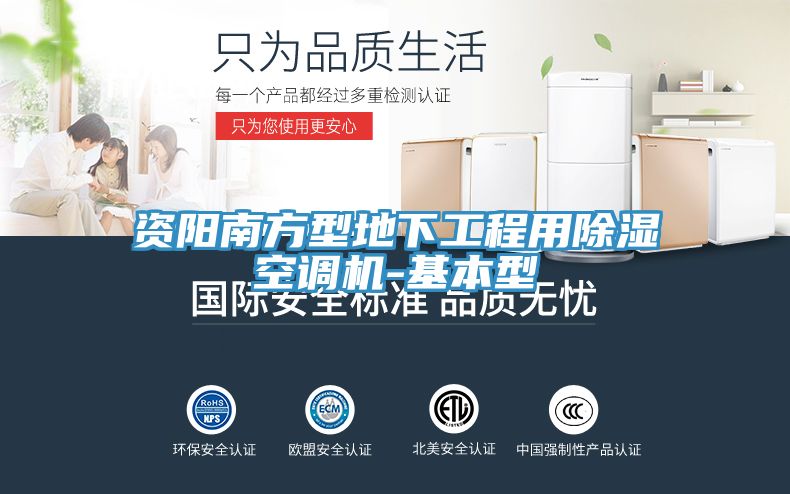 資陽南方型地下工程用除濕空調(diào)機(jī)-基本型