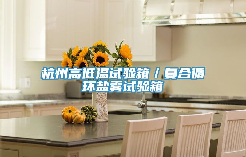 杭州高低溫試驗箱/復合循環鹽霧試驗箱