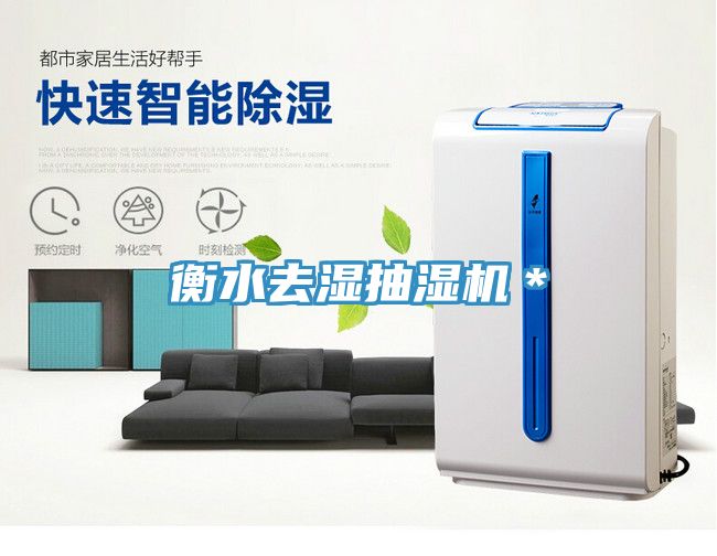 衡水去濕抽濕機*
