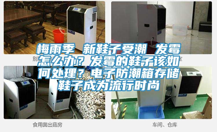 梅雨季 新鞋子受潮 發(fā)霉怎么辦?發(fā)霉的鞋子該如何處理?電子防潮箱存儲(chǔ)鞋子成為流行時(shí)尚