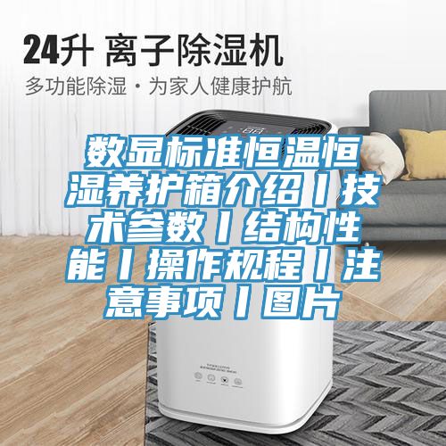 數(shù)顯標(biāo)準(zhǔn)恒溫恒濕養(yǎng)護(hù)箱介紹丨技術(shù)參數(shù)丨結(jié)構(gòu)性能丨操作規(guī)程丨注意事項丨圖片