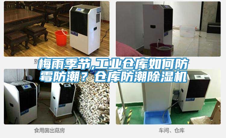 梅雨季節(jié),工業(yè)倉庫如何防霉防潮?倉庫防潮除濕機