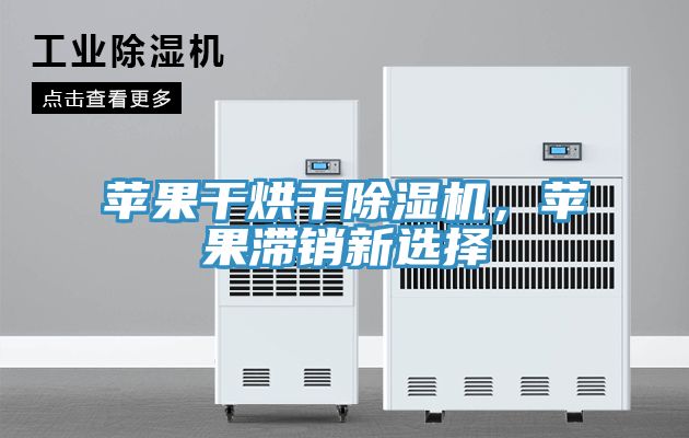 蘋果干烘干除濕機，蘋果滯銷新選擇